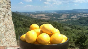Podere Lama
